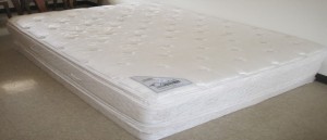 clean.mattress.bedbugs